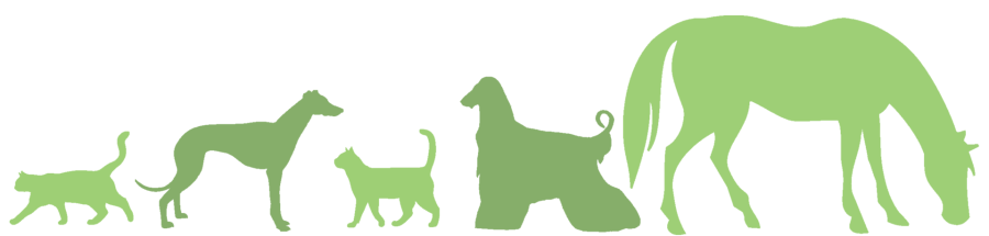 Knochenbrecher.de Logo – Marco Tjaden traditioneller Knochenbrecher Dornum