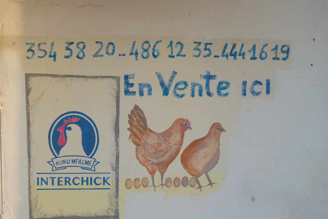 Hühnerschnupfen behandeln: Symptome, Ursachen & Hilfe