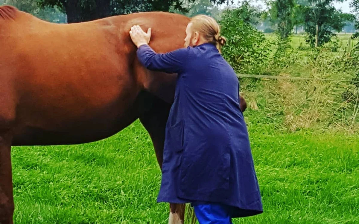 Marco Tjaden bei der sanften Behandlung eines Pferdes – mobile Praxis Ostfriesland