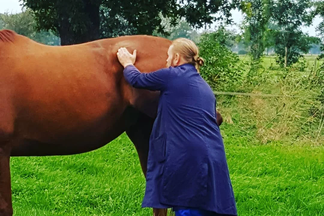 Marco Tjaden ertastet Blockaden am Pferderücken — Knochenbrecher Ostfriesland